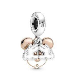 Pandora charms
